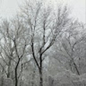 Meet your Posher, Shanea